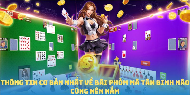 Thông tin cơ bản nhất về bài phỏm mà tân binh nào cũng nên nắm