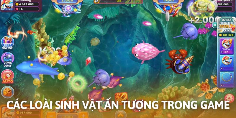 Hệ sinh thái với vô vàn sinh vật giá trị thưởng khác nhau