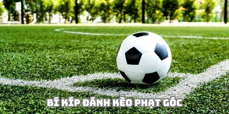 Bí kíp chiến thắng từ kèo phạt góc là gì?