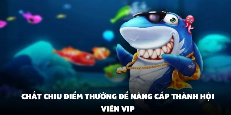 Chắt chiu điểm thưởng để nâng cấp thành hội viên VIP