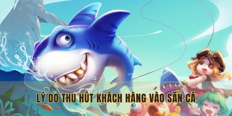 Lý do thu hút khách hàng vào săn cá tại đây